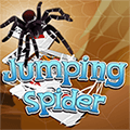 Jumping Spider